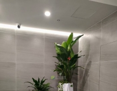 办公室绿植摆放