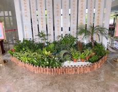 企业大厅花卉绿植摆放组合