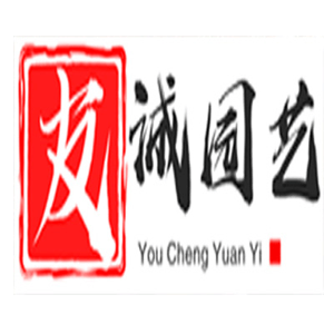 宁波绿植租赁适合水培的植物类型有哪些